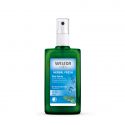 WELEDA DESODORANTE SALVIA SPRAY 100 ML