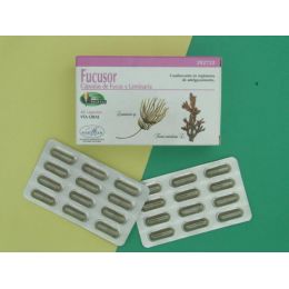 FUCUSOR 400 MG 60 CAPSULAS